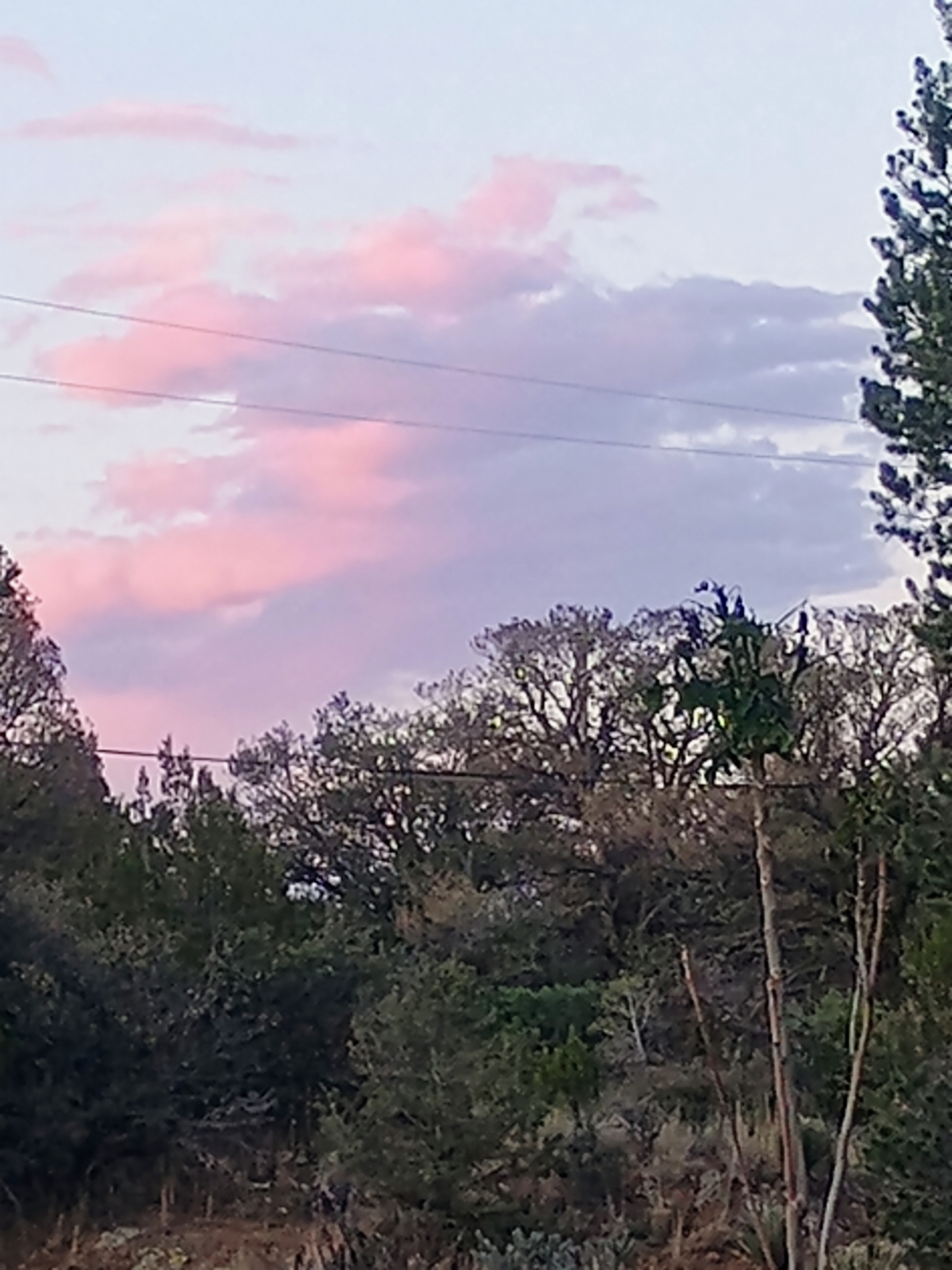 Mesa Pad hookups
